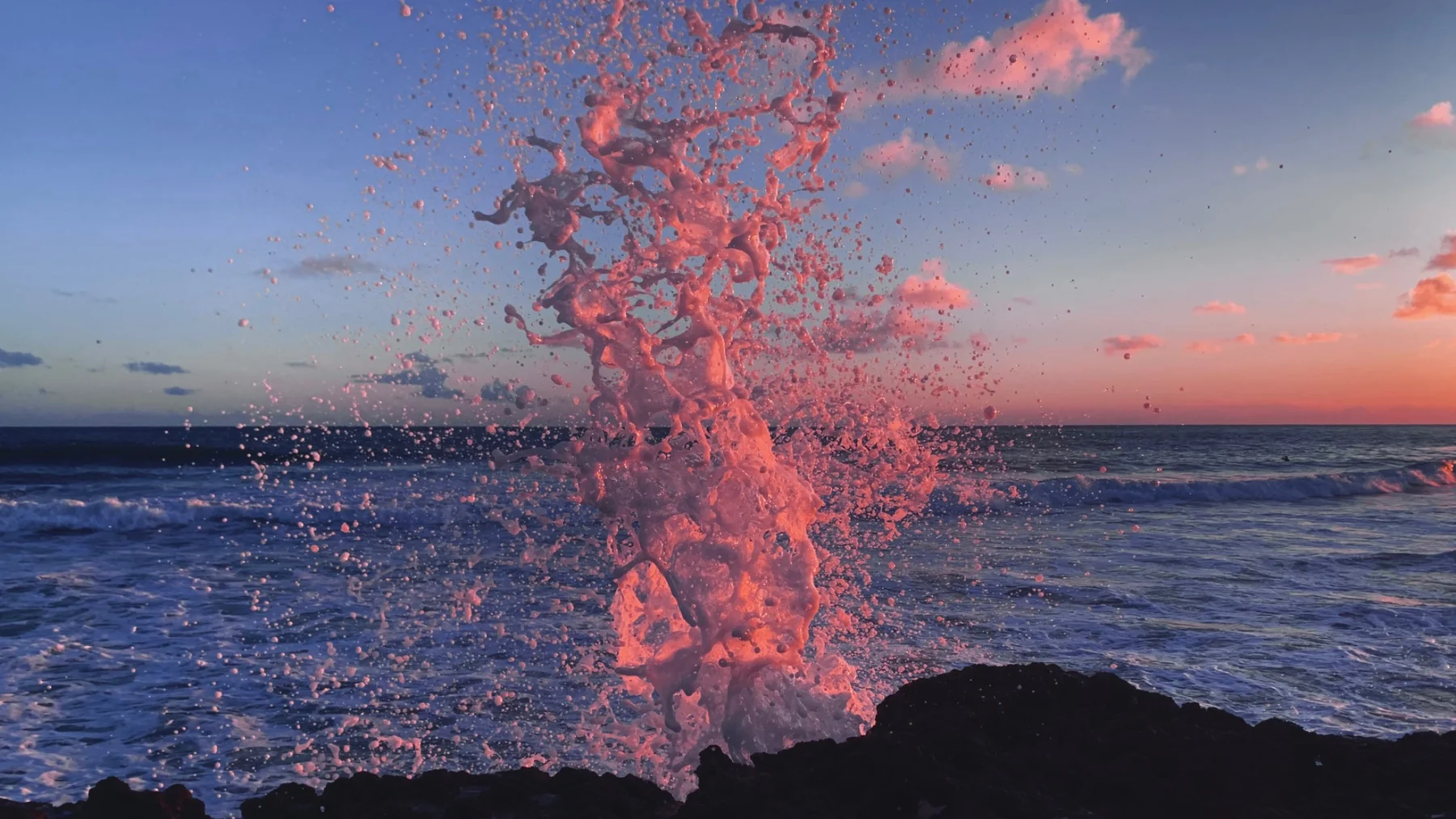 Pink wave photograph from the personal archive