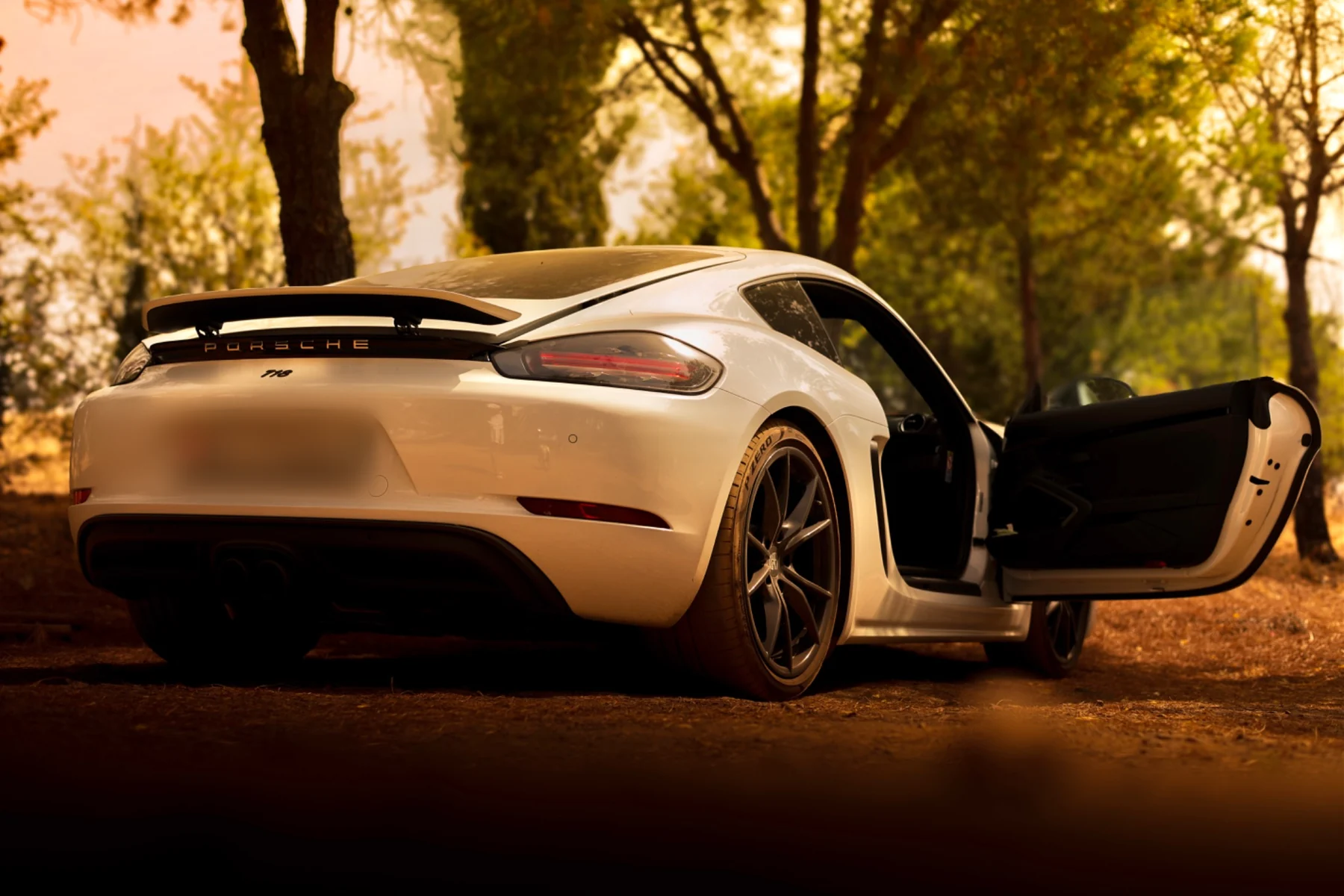 Porsche rear three-quarter view with the door open