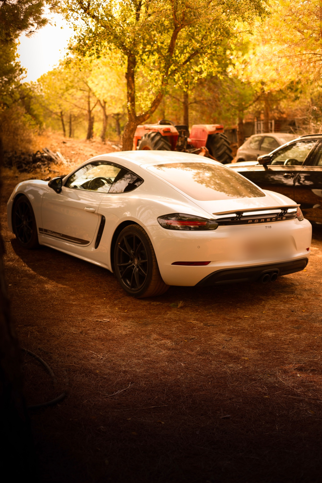 Porsche rear three-quarter view in its surroundings
