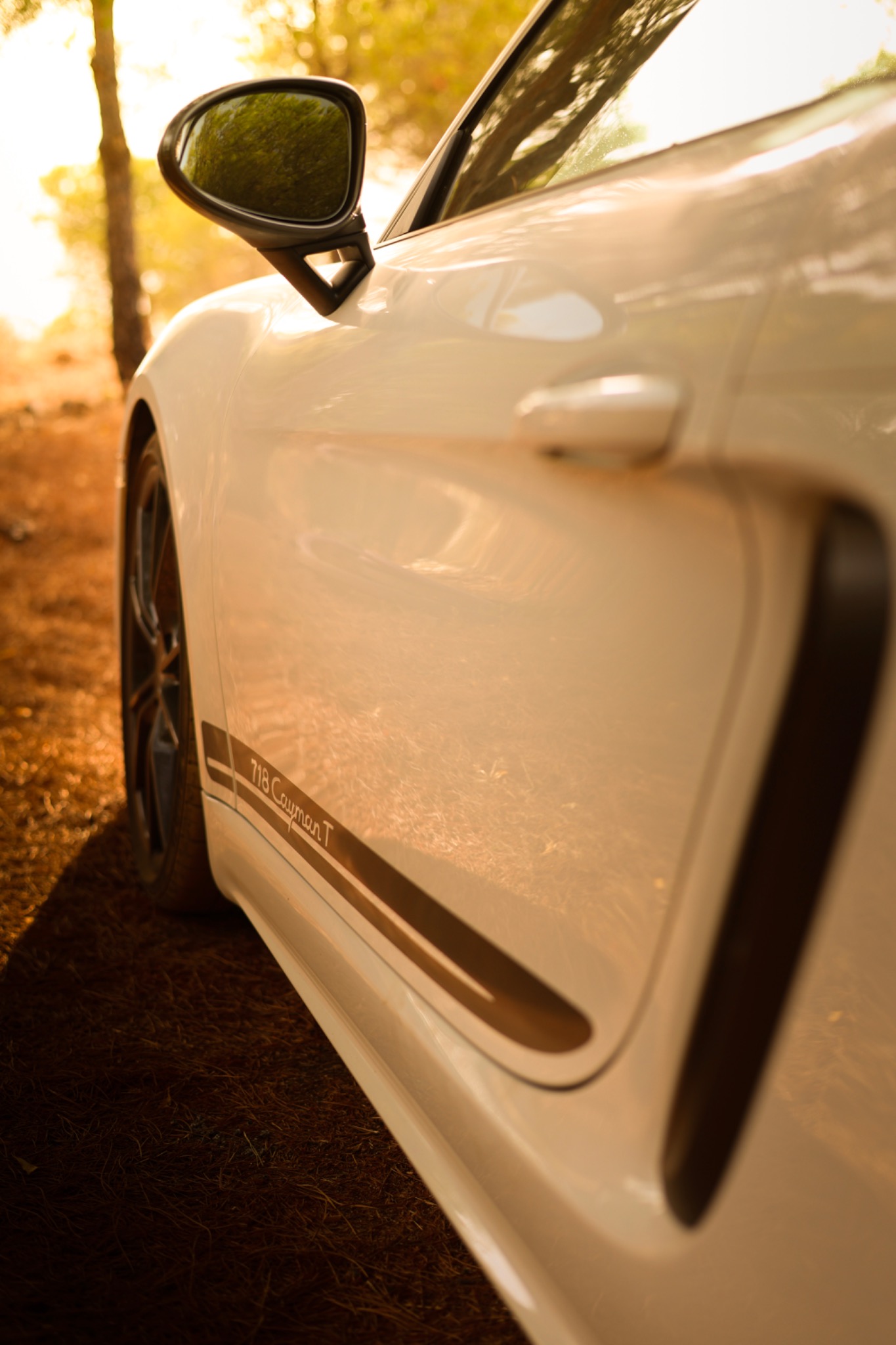 Porsche Cayman T side script