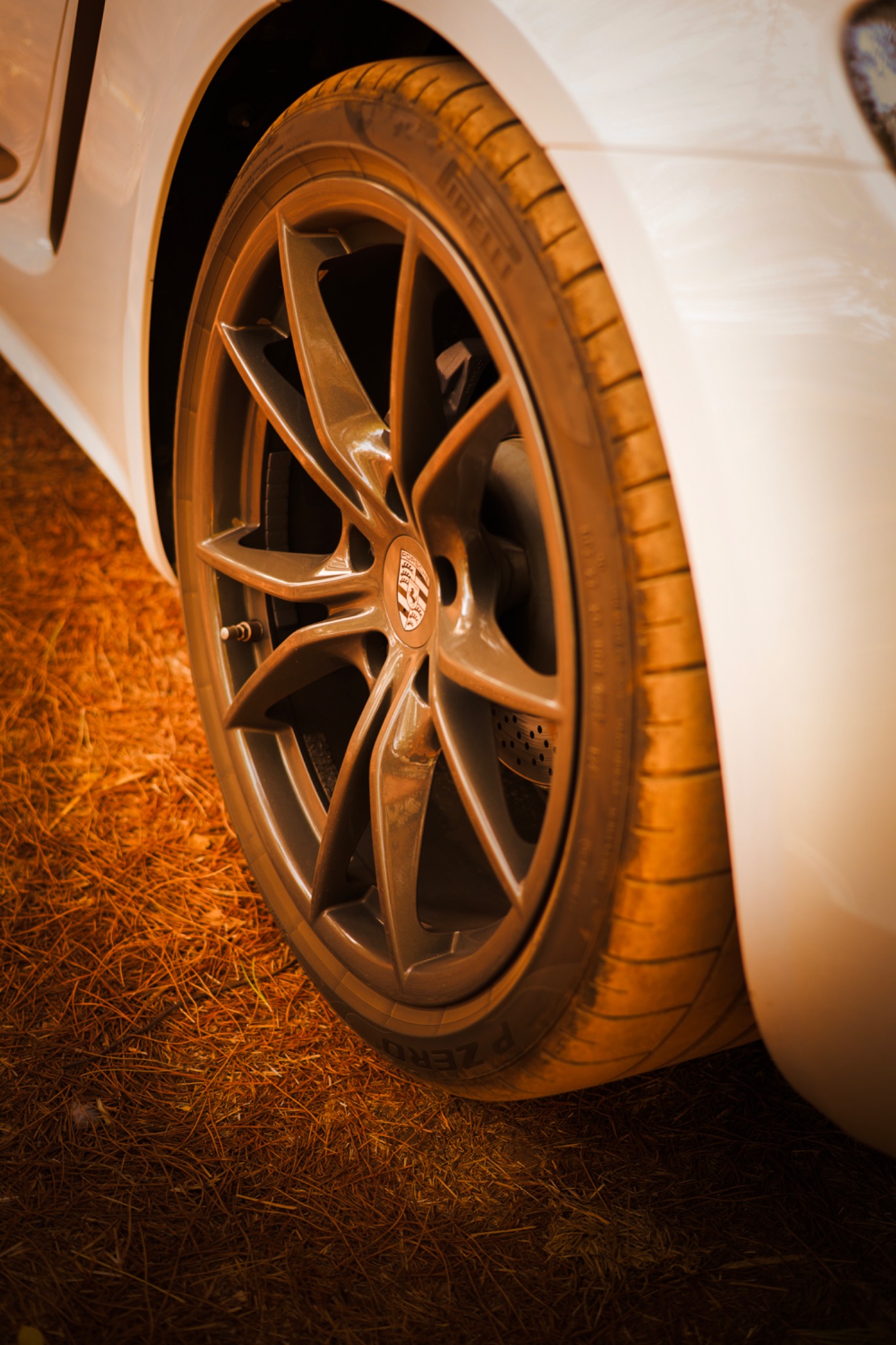 Porsche wheel detail