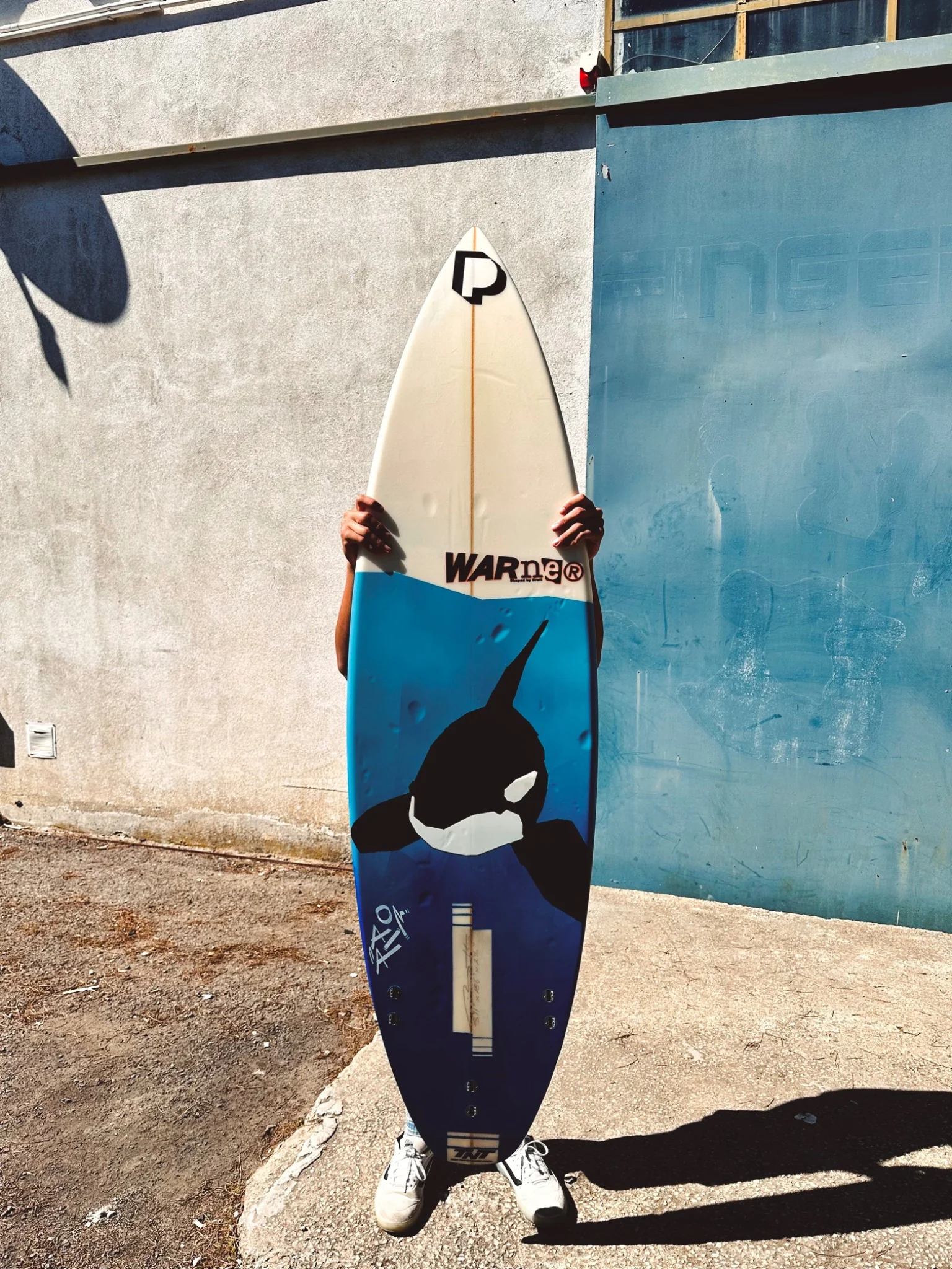 Surfboard graphic with an orca motif